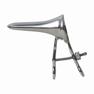 �N�X�R�@�i���j�i��Ìn���j