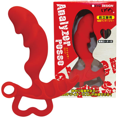 �A�i���C�U�[���b�\�i�A�i���g���O�b�Y�j