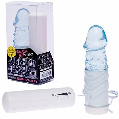 �o�C�u�L���O�@�i���������j�@�u���[�i�o�C�u�j