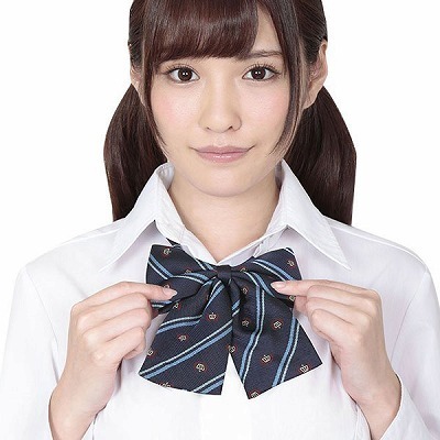 �������X�N�[�����{���@��̓u���[�X�g���C�v�i�R�X�`���[���j