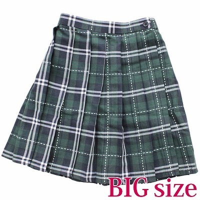 �X�e�b�`����`�F�b�N���v���[�c�X�J�[�g�@�a�h�f�i�R�X�`���[���j