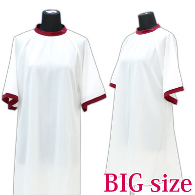 �̑������[���E�F�A�@�G���W�@�a�h�f�i�R�X�`���[���j