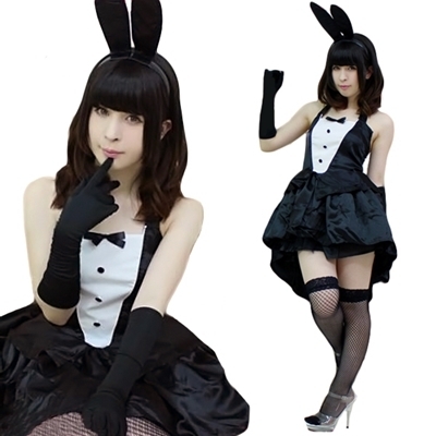 �o�������|�����������@�G���K���X�o�j�[�@�u���b�N�i�R�X�`���[���j