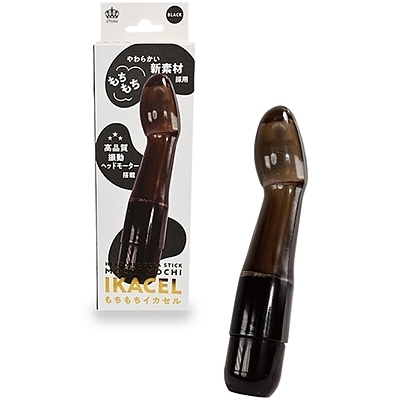 ���������h�j�`�b�d�k�@�i�u���b�N�j�i�o�C�u�j