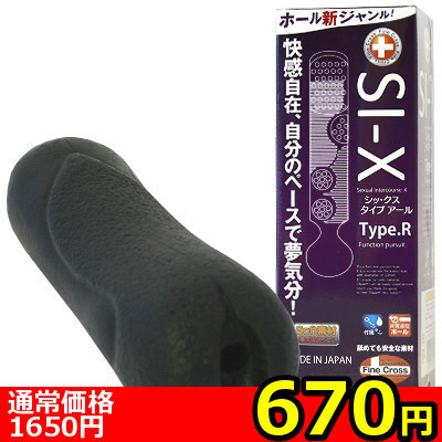 �y�U�V�O�~�����ʌ���z�r�h�|�w�@�s�������D�q�i�V�b�N�X�@�^�C�v�A�[���j������l�l�P�_���聄�i�����������i�j