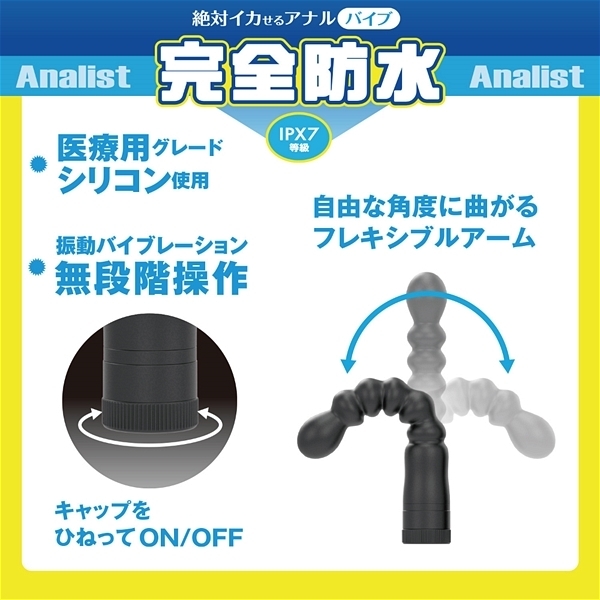 ��΃C�J����A�i���o�C�u�@���S�h���@�A�i���X�g�@�i�O�O�Q�j